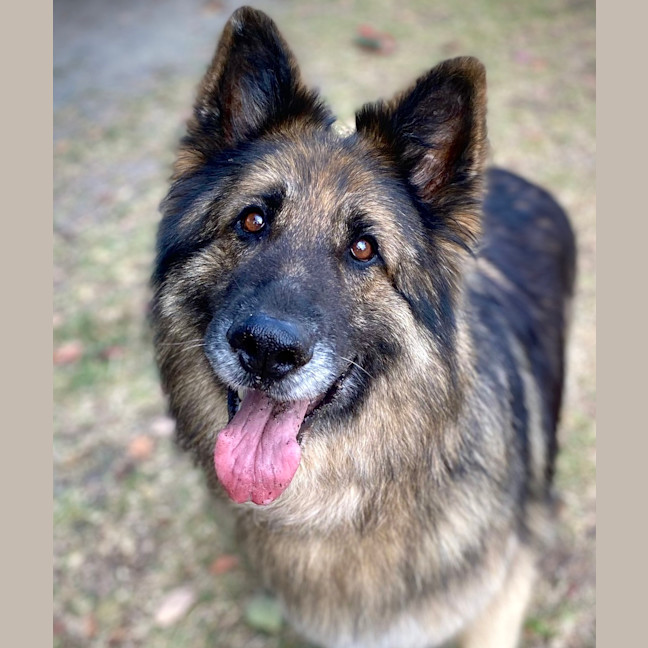 Photo of Axel