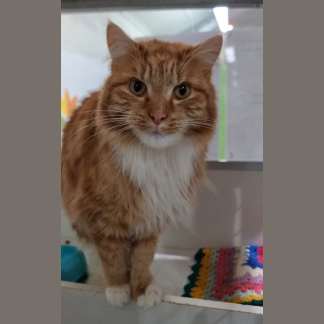 Photo of Captain