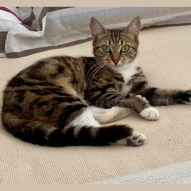 Photo of Bonny