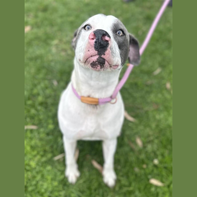 Photo of Jax