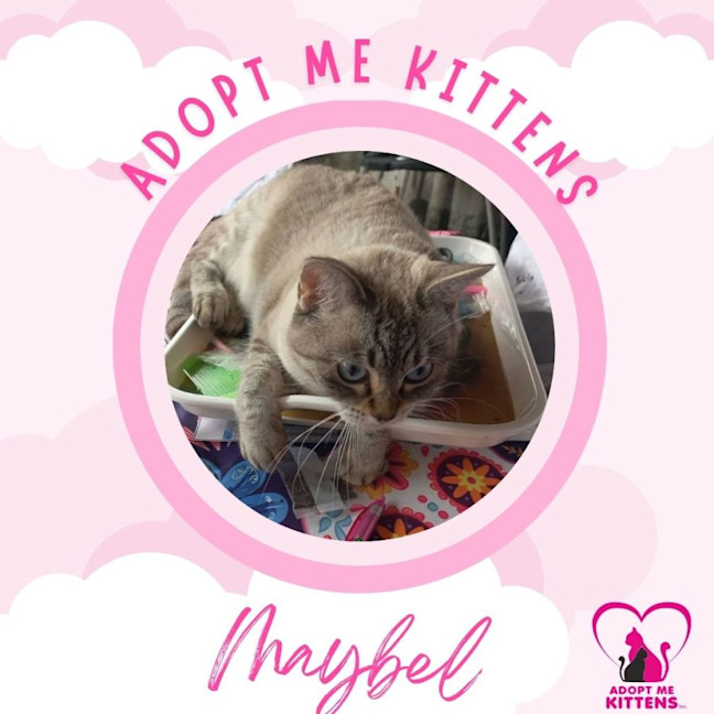 Photo of Maybel