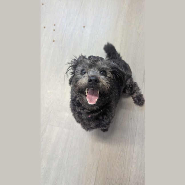 Photo of Nimbus