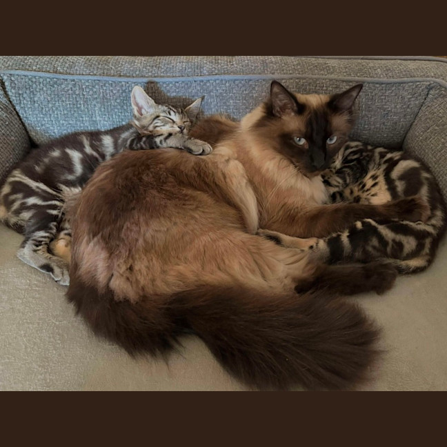 Photo of Peter & Griffin 