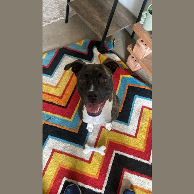 Photo of Daisy Haliwell