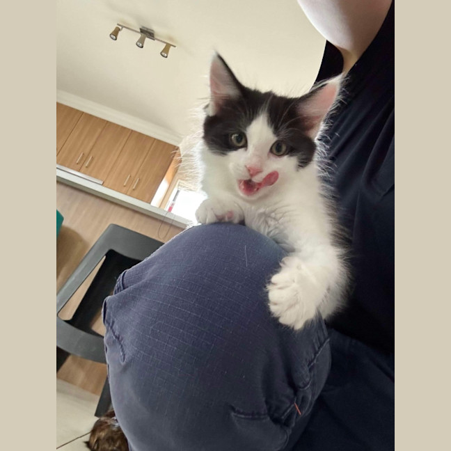 Photo of Benny & Gatsby