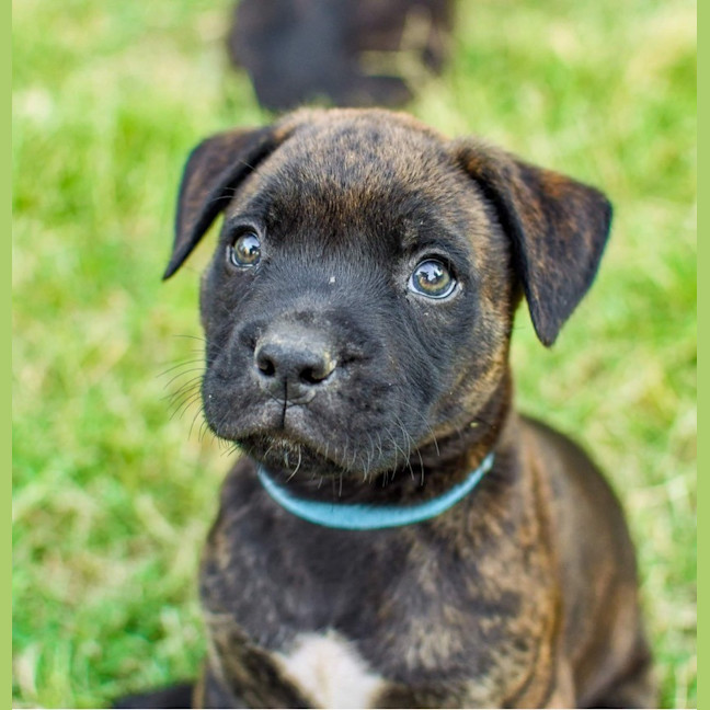 Photo of Zeus
