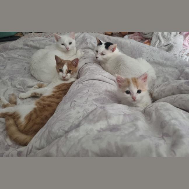 Photo of Finnick