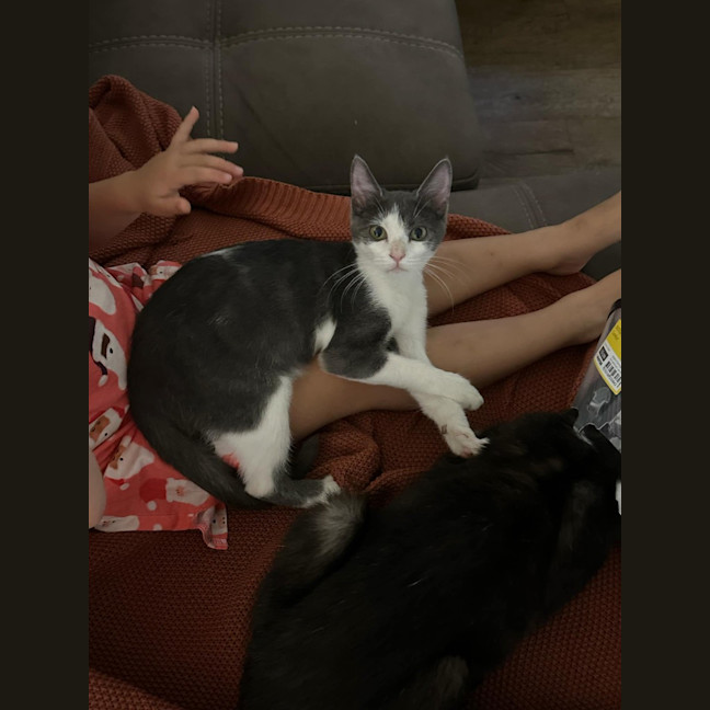 Photo of Billie Jean