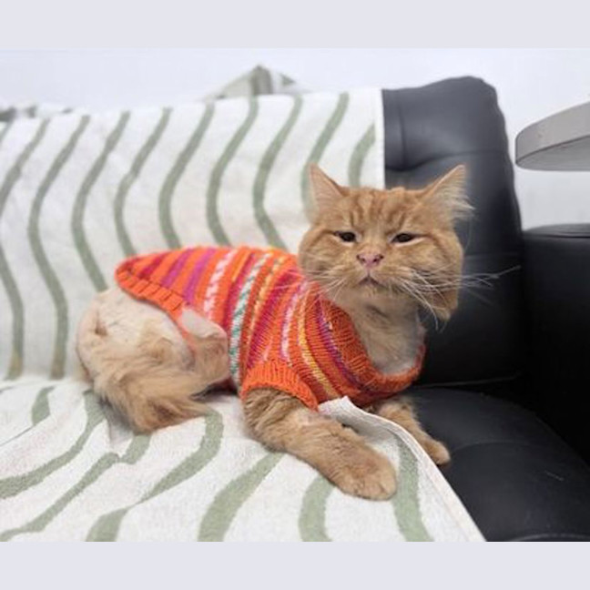 Photo of Calvin