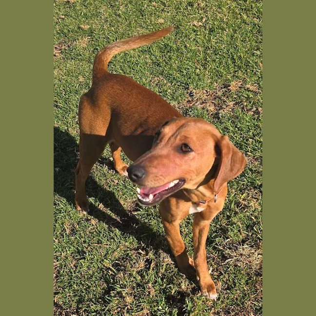 Photo of Daisy