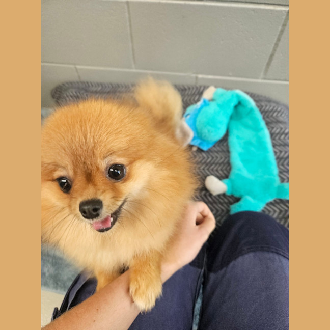 Photo of Evie