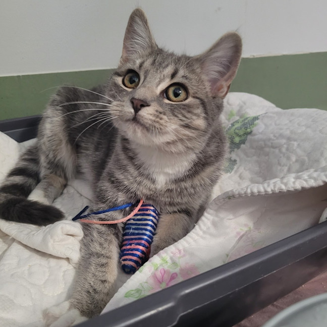 Photo of Kiki