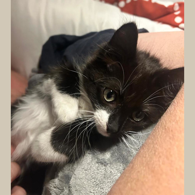 Photo of Vinnie 🧸