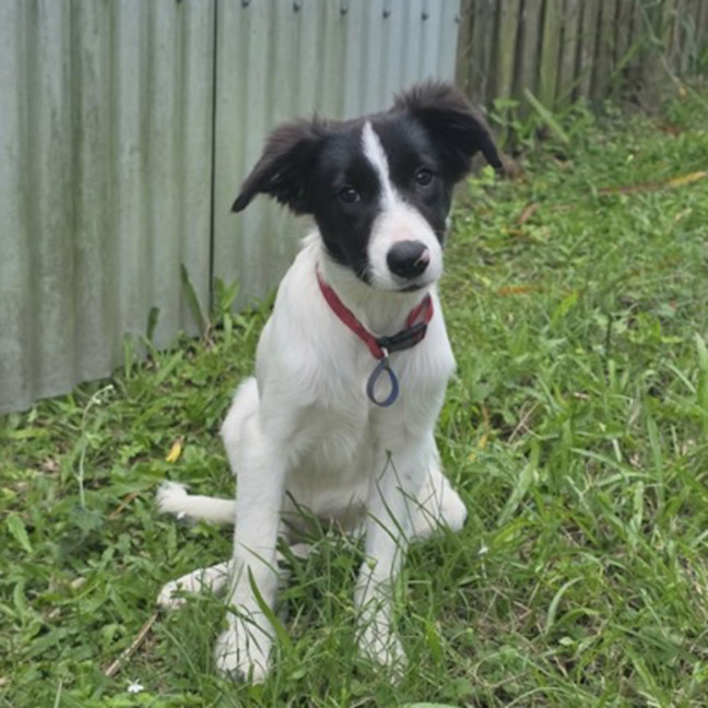 Photo of Annie 