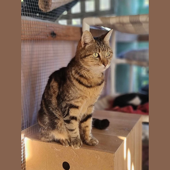 Photo of Thelma