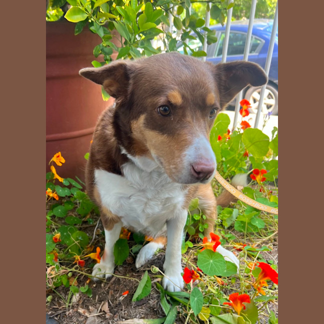 Photo of Sandy