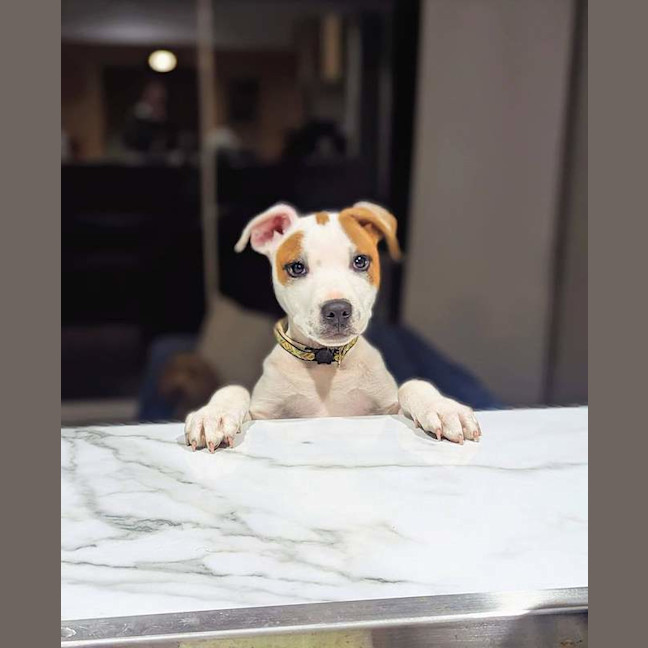 Photo of Solo