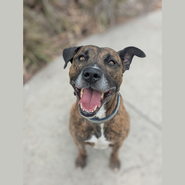 Photo of 🛶 Laszlo 5824 🛶