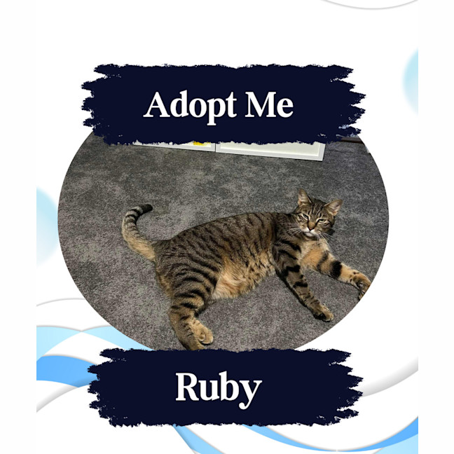 Photo of Ruby