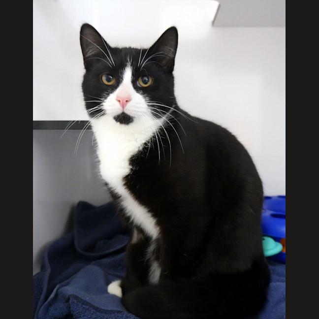 Photo of Bear Sta012860