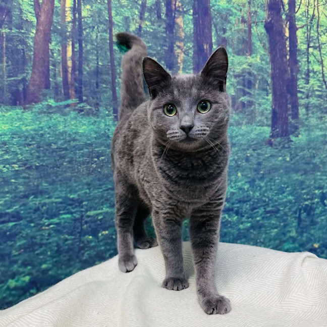 Photo of Travis   Located In Preston