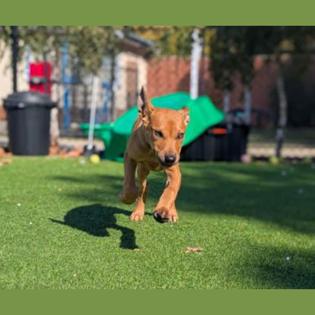 Photo of Winnie