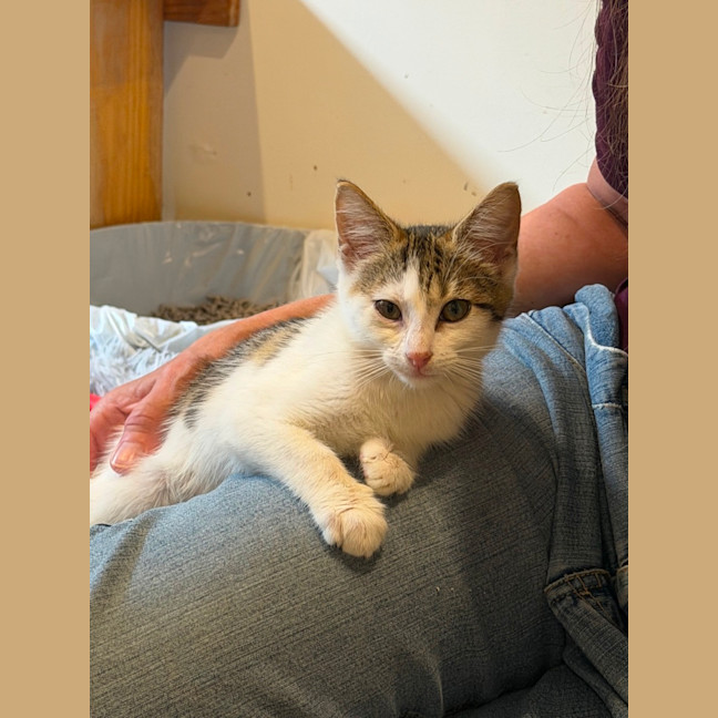 Photo of Jemima