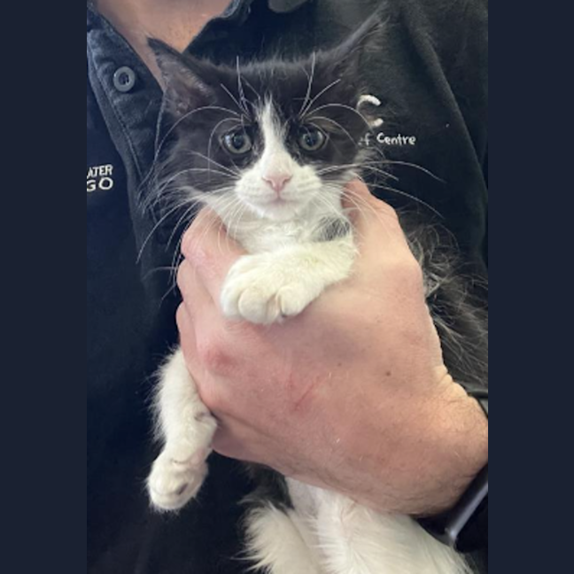 Photo of Luther Sickel