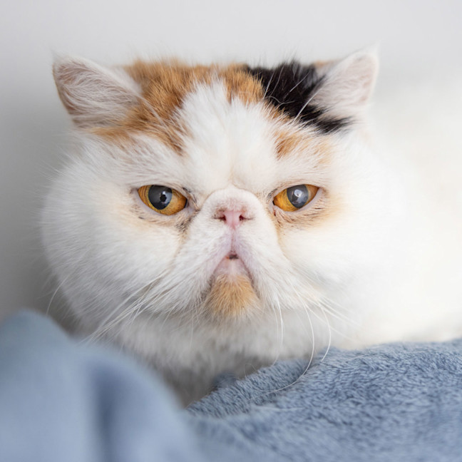 Photo of Missy Finn