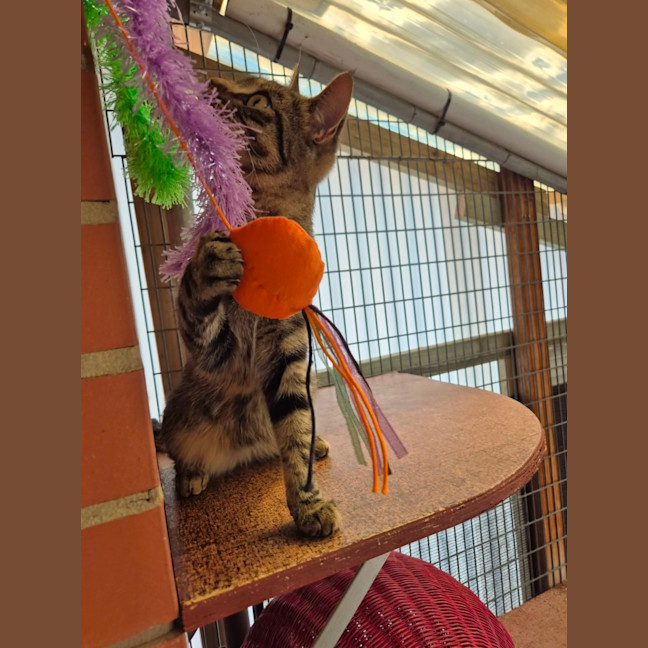 Photo of Jolene!👢