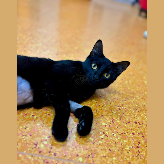 Photo of Winnie