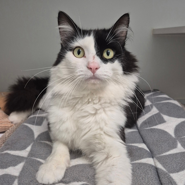 Photo of Maurice