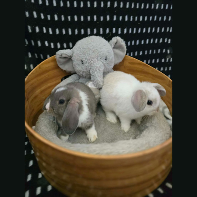 Photo of Cloud / Misty