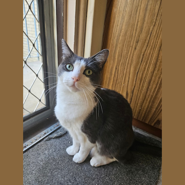 Photo of Ceecee