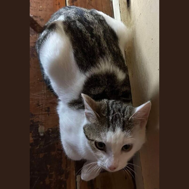 Photo of Nudge