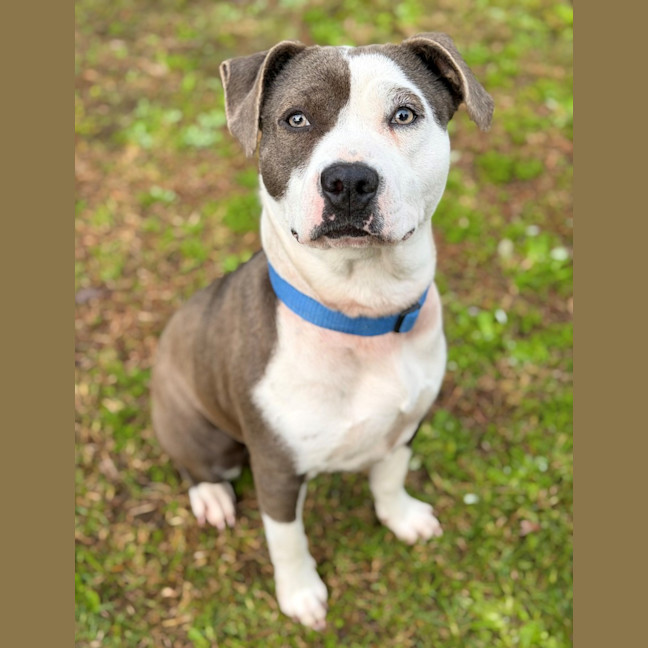 Photo of Shelby 