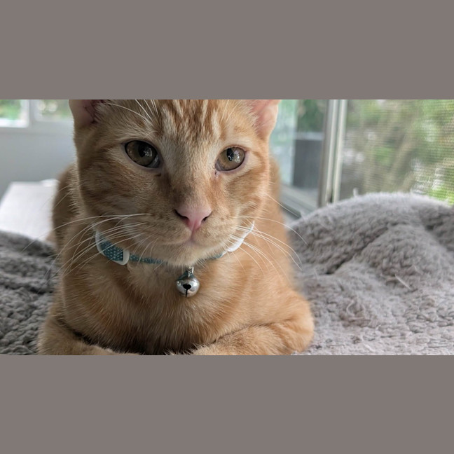 Photo of Hunter
