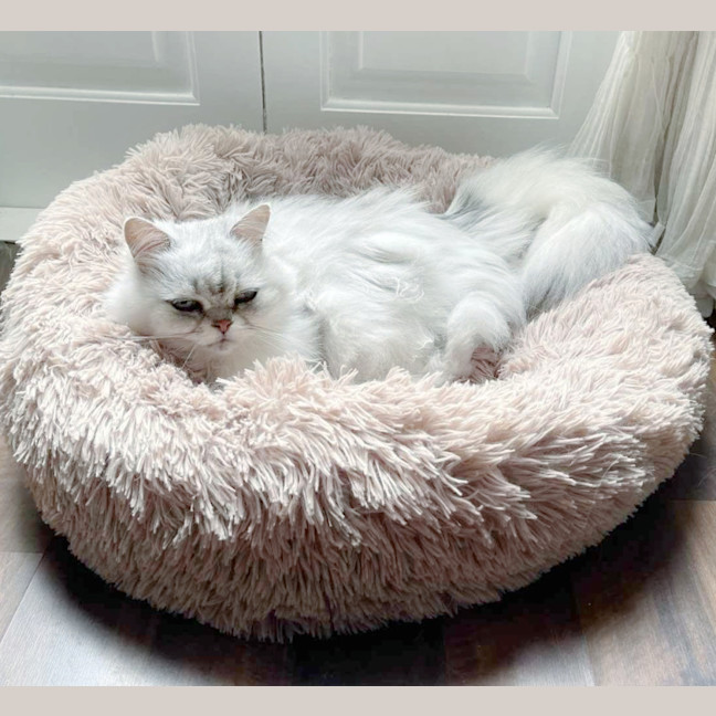 Photo of 🎀Priscilla🎀