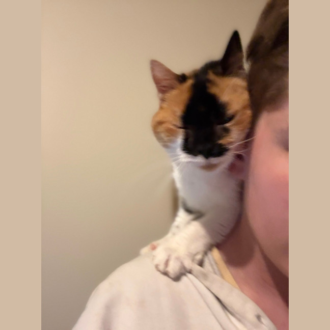 Photo of Little Miss Sunshine