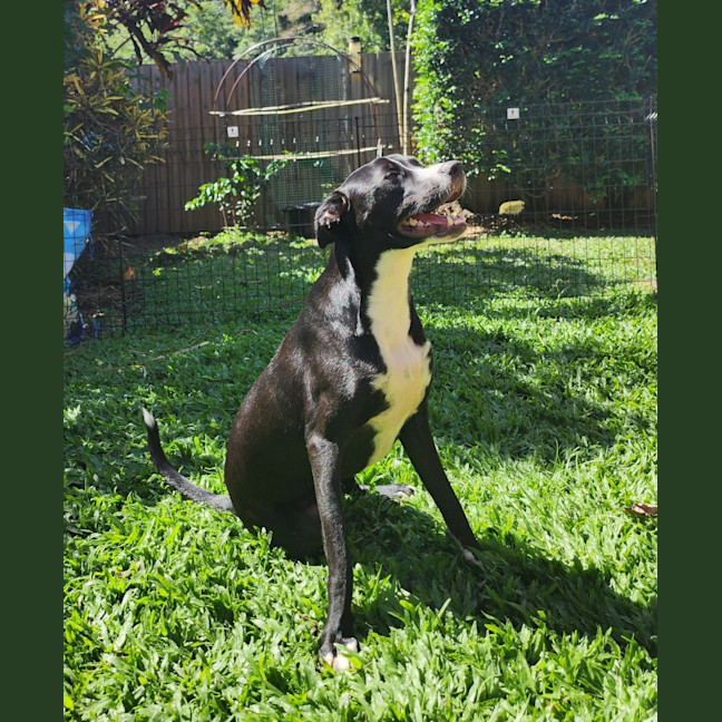 Photo of Jasper