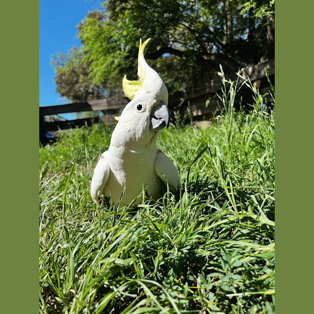 Photo of Miss Patricia 