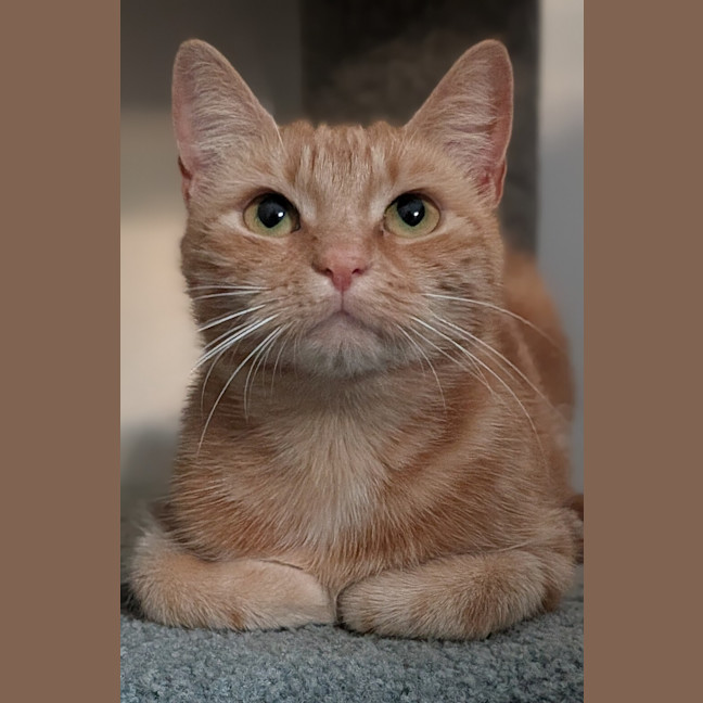 Photo of Annie