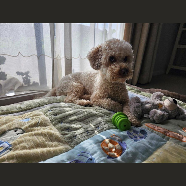 Photo of Bobi Everhart