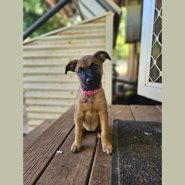 Photo of Willa