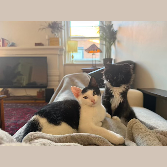 Photo of Pumpkin And Feta