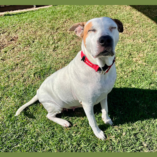 Photo of Lola