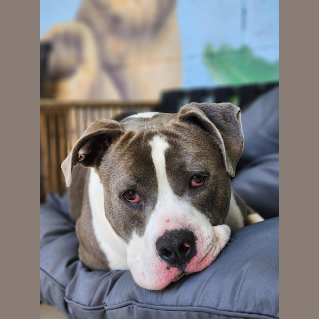 Photo of 🧱 Mason 6377 🧱