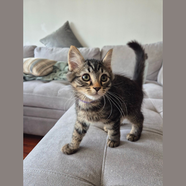 Photo of Bucket