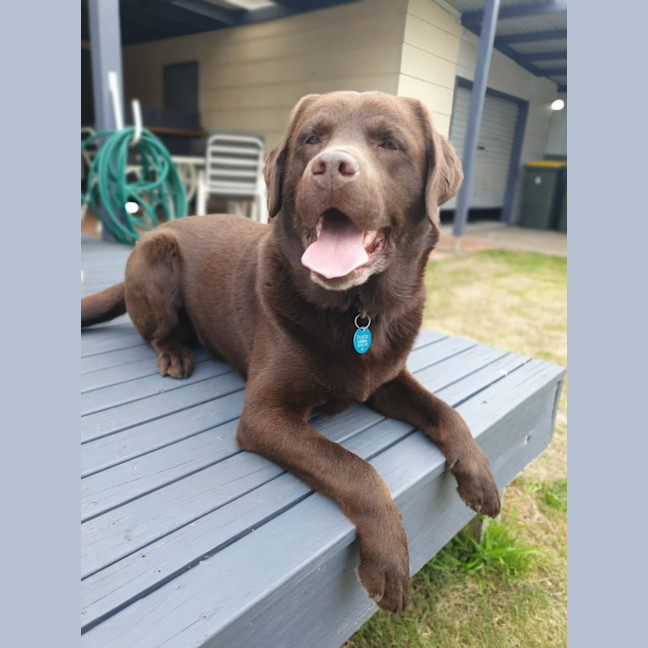 Photo of Duke