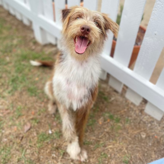 Photo of Tank